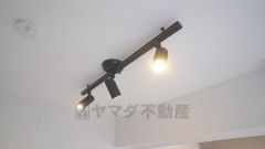 ライティングレールも設置してあります。